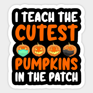 I Teach The Cutest Pumpkins In The Patch Sticker